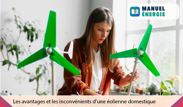Pourquoi il faut installer une éolienne domestique ?