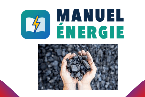 Énergie fossile renouvelable ou non